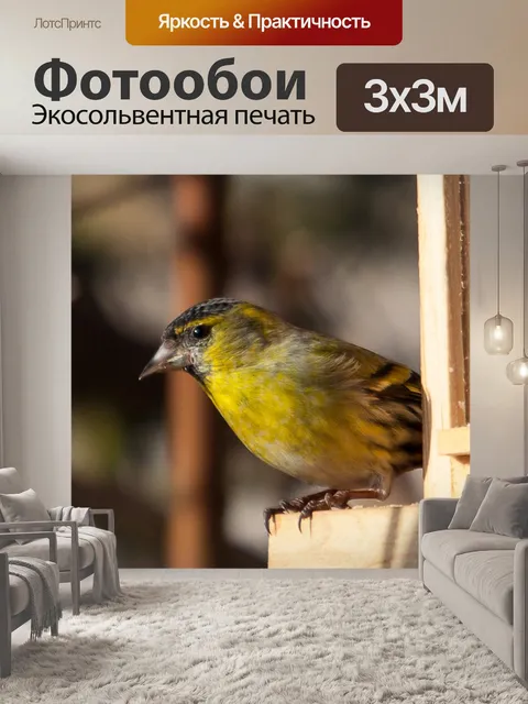 Фотообои Чиж