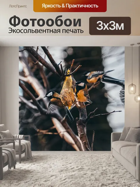 Фотообои Птицы