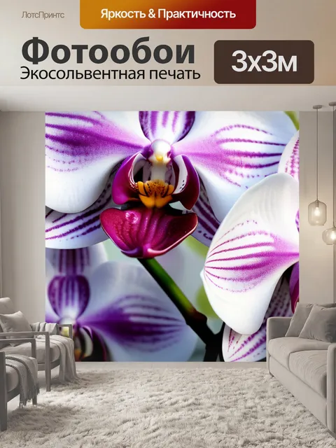 Фотообои с орхидеями