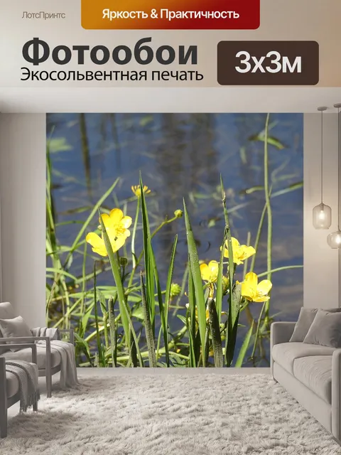 Фотообои Желтый цветок