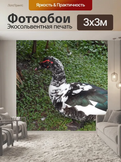 Фотообои Природа