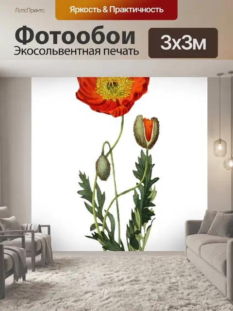 Фотообои Мак цветок арт винтаж