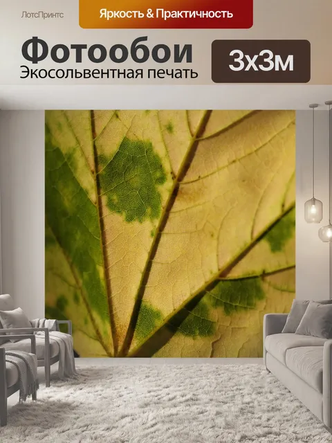Фотообои Лист