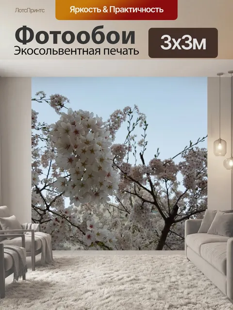Фотообои Вишни в цвету