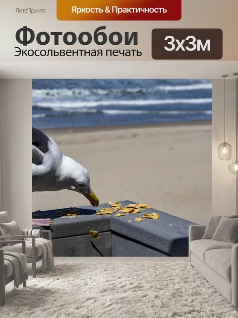 Фотообои чайка