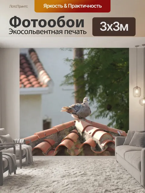 Фотообои Птицы