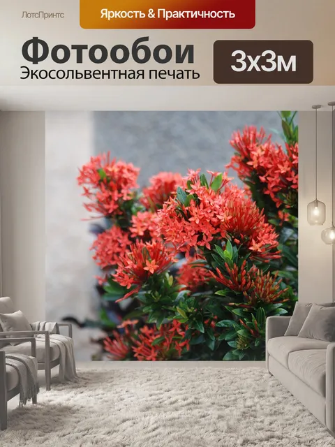 Фотообои Цветы