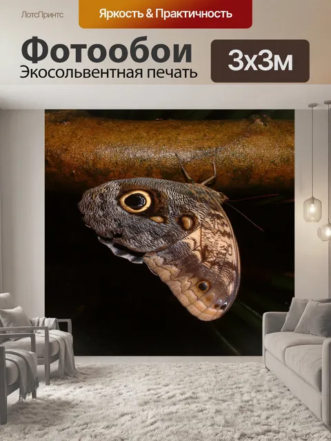 Фотообои Бабочка