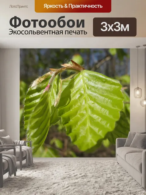 Фотообои Листья