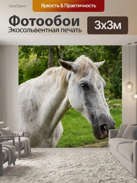 Фотообои Лошадь