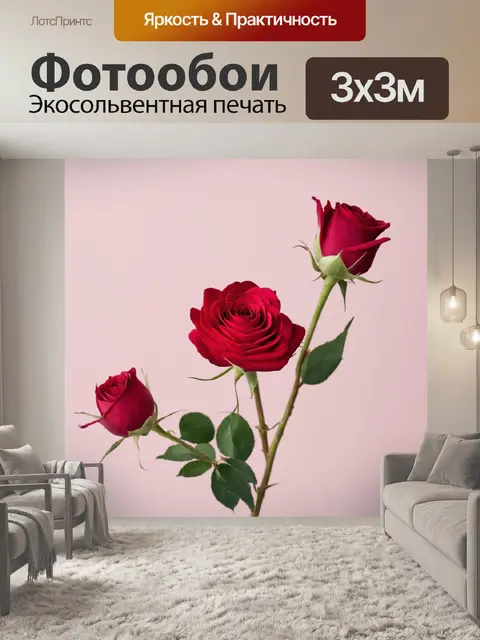 Фотообои розы в стиле минимализм