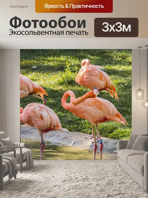 Фотообои Фламинго