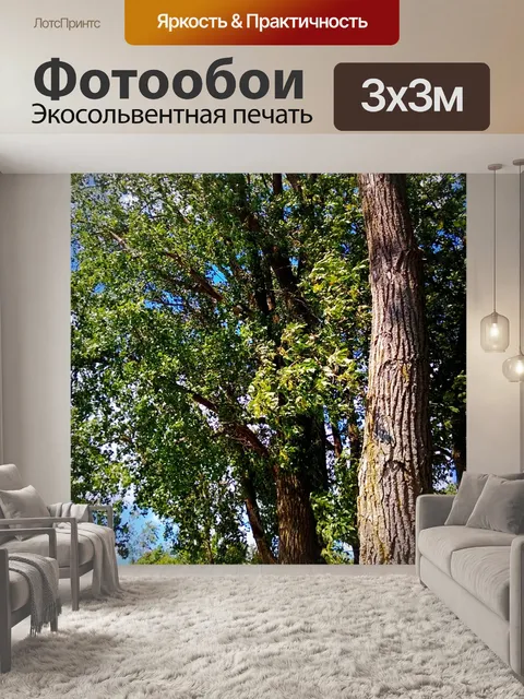 Фотообои Деревья