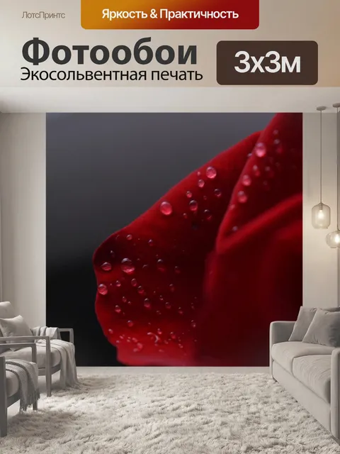 Фотообои Розы