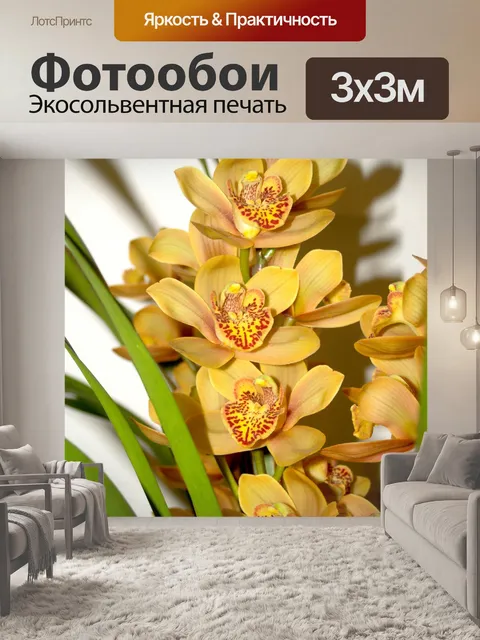 Фотообои Фото цветка орхидеи