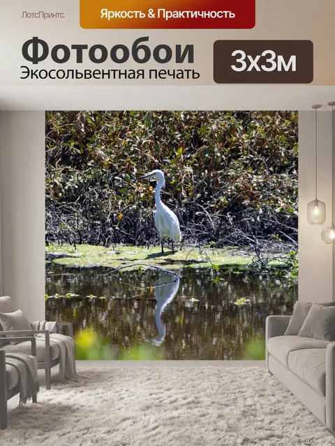 Фотообои Большая белая цапля