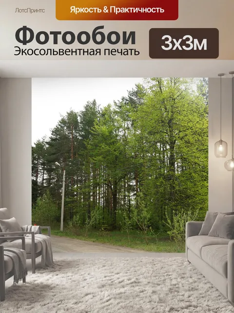 Фотообои Дорога