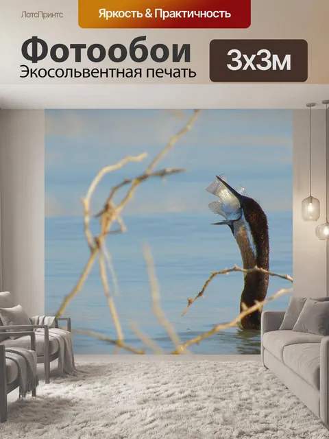 Фотообои Озеро
