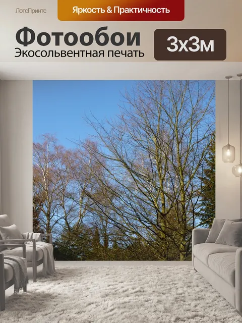 Фотообои Деревья