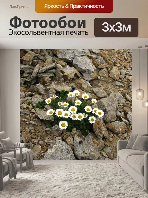 Фотообои Цветы