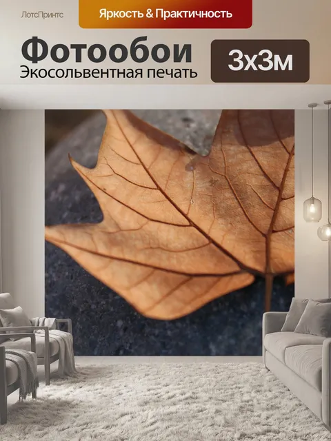 Фотообои Лист