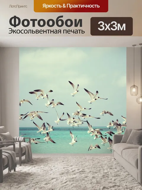 Фотообои Чайки