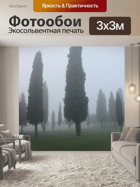 Фотообои Кипарис