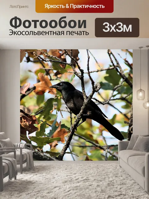 Фотообои Грейк в дубовом дереве