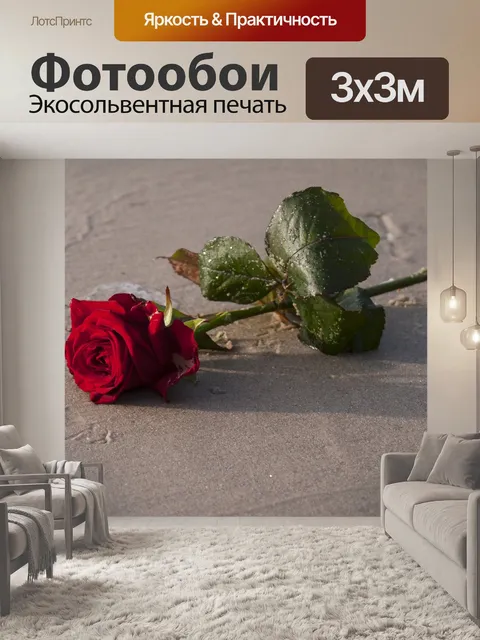 Фотообои Роза