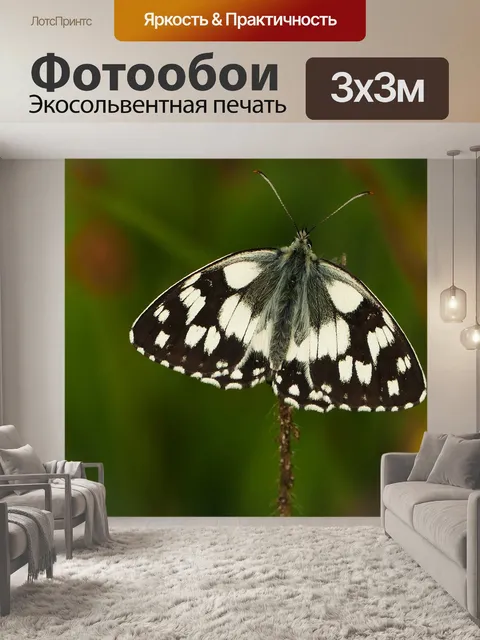 Фотообои Природа