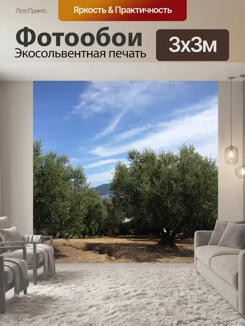 Фотообои Префектура кагава
