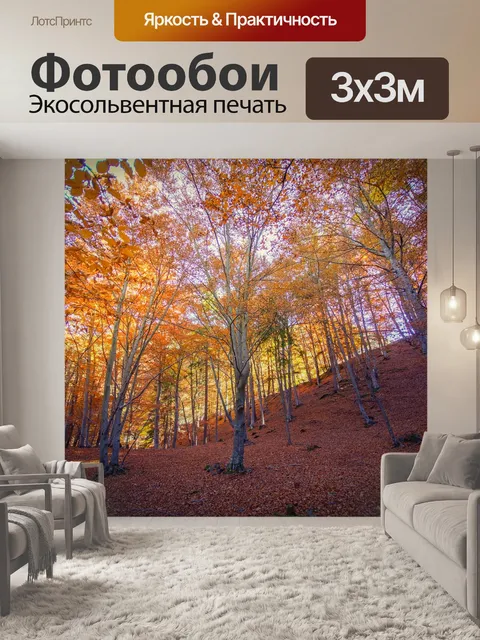 Фотообои Лес
