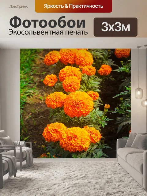 Фотообои Цветы