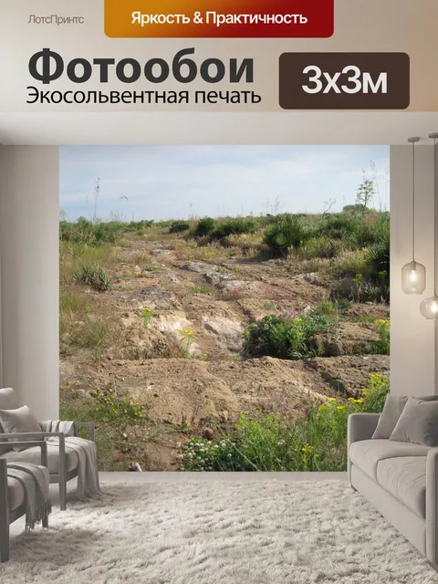 Фотообои Старый