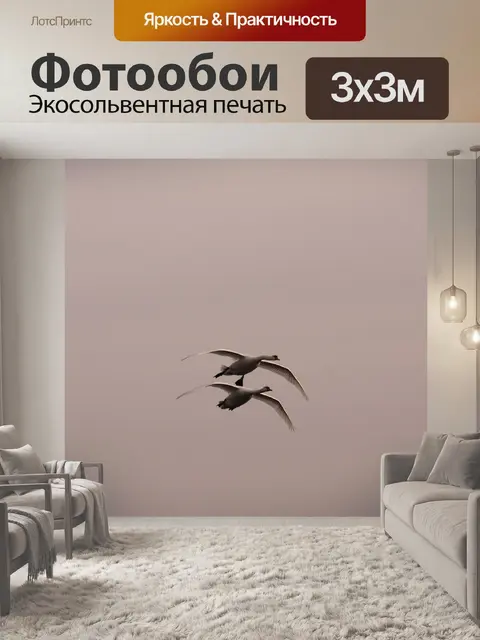 Фотообои Лебеди