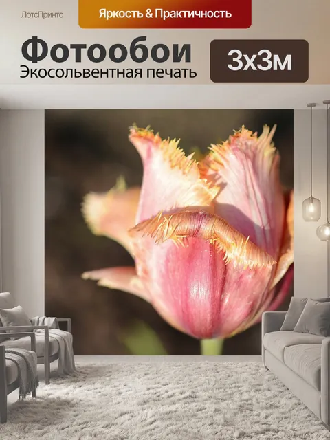 Фотообои Тюльпан
