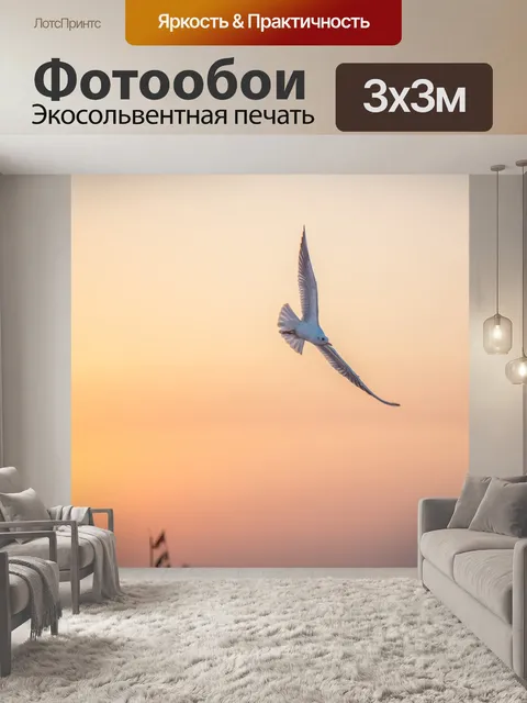 Фотообои Чайка