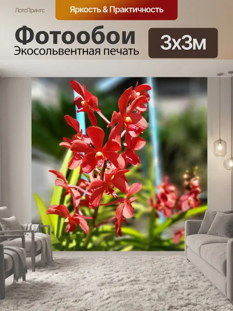 Фотообои Орхидеи