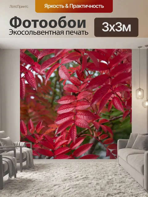 Фотообои Листья