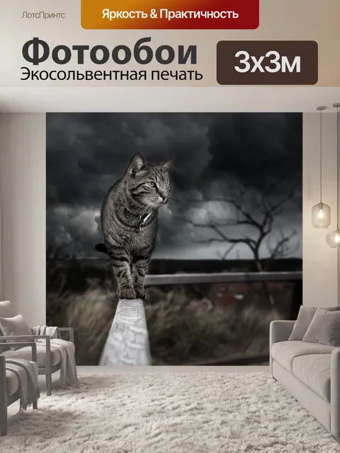 Фотообои Кошка во время шторма