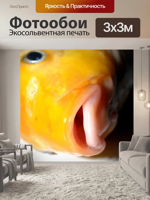 Фотообои Пресноводная рыба фото
