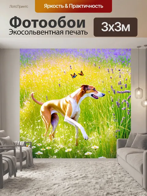 Фотообои в поле с высокими травами, где лаванда и ромашки растут в изобилии, гибридный салюки играет с бабочками