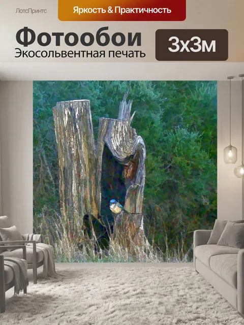 Фотообои птица в журнале