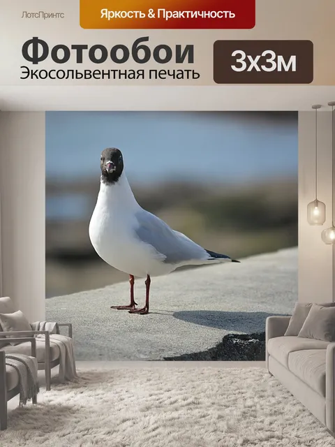 Фотообои Птица
