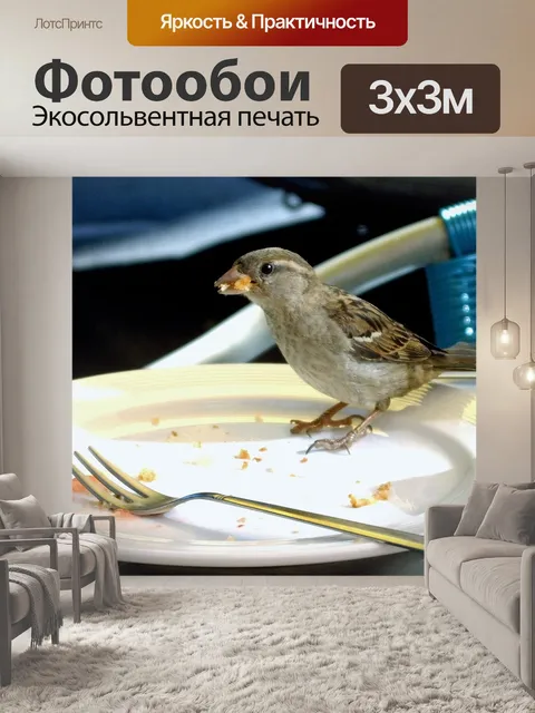 Фотообои Собирательство