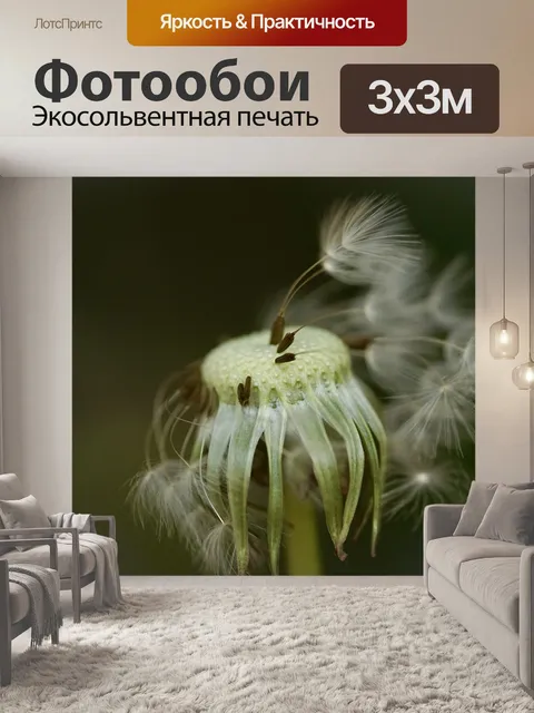 Фотообои Одуванчик