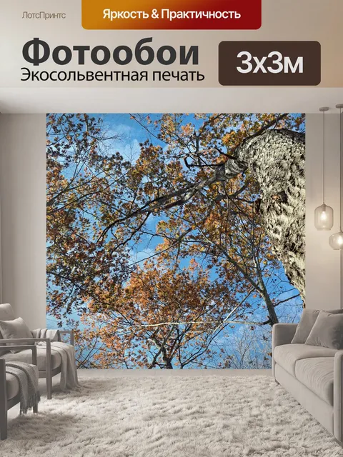 Фотообои Листья