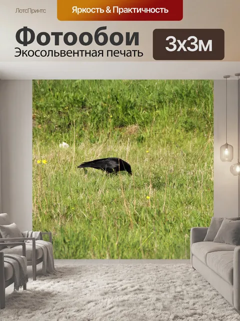 Фотообои Фон