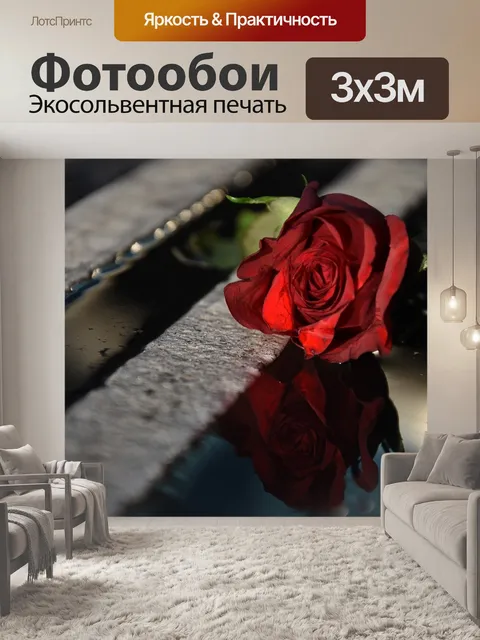 Фотообои Роза