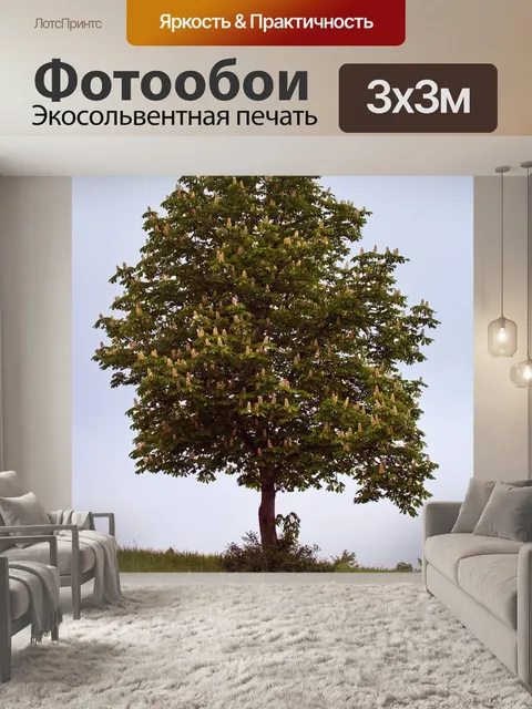 Фотообои Дерево